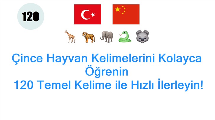 Çince Hayvan Kelimelerini Kolayca Öğrenin: 120 Temel Kelime ile Hızlı İlerleyin!